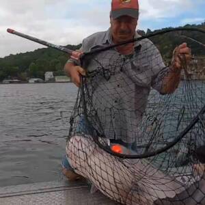 HydroWeb HD150 Catfish Landing Net